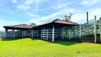 Foto 21 de Fazenda/Sítio com 2 Quartos à venda, 36m² em Zona Rural, Alexânia