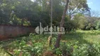 Foto 8 de Lote/Terreno à venda, 5000m² em Mansões Aeroporto, Uberlândia