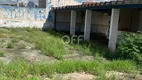 Foto 6 de Lote/Terreno para alugar, 684m² em Taquaral, Campinas