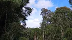 Foto 7 de Fazenda/Sítio à venda, 20000m² em Rancho Alegre, Campina Grande do Sul