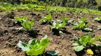 Foto 32 de Fazenda/Sítio à venda, 6300m² em Zona Rural, Tijucas do Sul