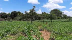 Foto 17 de Fazenda/Sítio com 3 Quartos à venda, 4500m² em Area Rural do Paranoa, Brasília