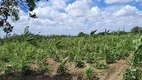 Foto 8 de Fazenda/Sítio à venda, 14000m² em , Rio do Fogo