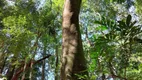 Foto 15 de Fazenda/Sítio com 2 Quartos à venda, 193000m² em Zona Rural, Monte Sião