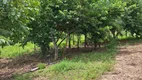 Foto 7 de Fazenda/Sítio com 4 Quartos à venda, 168m² em Rural, Paranã