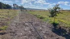 Foto 5 de Fazenda/Sítio com 3 Quartos à venda, 40000m² em Planaltina, Brasília