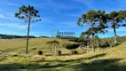 Foto 14 de Lote/Terreno à venda, 294949m² em Vargedo, Rancho Queimado