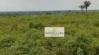 Foto 2 de Fazenda/Sítio com 8 Quartos à venda, 600m² em , Formoso do Araguaia