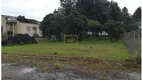 Foto 17 de Galpão/Depósito/Armazém para venda ou aluguel, 9000m² em Jardim Luana, Itaquaquecetuba