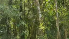 Foto 18 de Fazenda/Sítio à venda, 20000m² em Borda do Campo, São José dos Pinhais