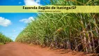Foto 3 de Fazenda/Sítio à venda, 1000m² em Zona Rural, Itatinga