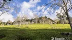 Foto 29 de Fazenda/Sítio com 3 Quartos à venda, 36300m² em Roça Velha, São José dos Pinhais