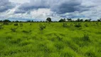 Foto 3 de Fazenda/Sítio à venda, 6135000m² em Zona Rural, Santo Antônio do Leverger