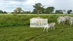 Foto 19 de Fazenda/Sítio com 2 Quartos à venda, 1000m² em Zona Rural, Cocalinho