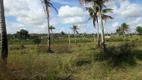 Foto 4 de Fazenda/Sítio à venda em Centro, São José de Mipibu