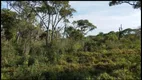 Foto 13 de Fazenda/Sítio à venda, 15000000m² em Centro, São Félix do Araguaia