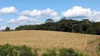 Foto 7 de Lote/Terreno à venda, 151800m² em Forqueta, Caxias do Sul