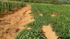 Foto 18 de Fazenda/Sítio com 3 Quartos à venda, 50000m² em Brazlândia, Brasília