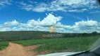 Foto 9 de Fazenda/Sítio à venda, 2420000m² em Zona Rural, Ipameri