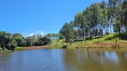 Foto 7 de Fazenda/Sítio à venda, 1875m² em Conjunto Habitacional Madre Germana II, Goiânia