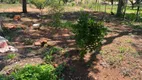 Foto 15 de Fazenda/Sítio com 2 Quartos à venda, 110m² em Zona Rural, Jaraguari