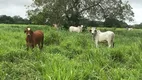 Foto 6 de Fazenda/Sítio com 5 Quartos à venda, 343000m² em Centro, Bom Jesus