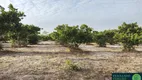 Foto 7 de Fazenda/Sítio com 3 Quartos à venda, 290000m² em Zona Rural, Cascavel