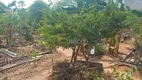 Foto 2 de Lote/Terreno à venda, 600m² em Jardim Maria Rosa, Valinhos