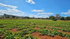 Foto 10 de Fazenda/Sítio com 3 Quartos à venda, 90m² em , Bela Vista de Goiás