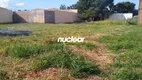 Foto 2 de Lote/Terreno à venda, 254m² em Residencial Portal da Pérola II, Birigui