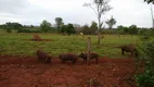 Foto 2 de Fazenda/Sítio com 3 Quartos à venda, 4840000m² em Zona Rural, Caçu