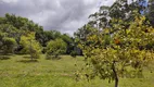 Foto 40 de Fazenda/Sítio com 4 Quartos à venda, 299m² em Caju, Nova Santa Rita