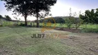 Foto 19 de Fazenda/Sítio com 3 Quartos à venda, 288269m² em Setor Central, Buriti Alegre