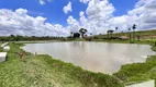 Foto 34 de Fazenda/Sítio à venda, 700000m² em Centro, Mirassol