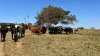 Foto 24 de Fazenda/Sítio à venda, 1200000m² em , Brasília