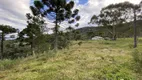 Foto 21 de Fazenda/Sítio com 3 Quartos à venda, 267m² em Zona Rural, Bom Retiro