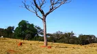 Foto 33 de Fazenda/Sítio com 3 Quartos à venda, 1064800m² em Zona Rural, Bela Vista de Goiás