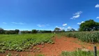 Foto 16 de Lote/Terreno à venda, 20000m² em Zona Rural, Santana de Pirapama