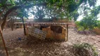 Foto 29 de Fazenda/Sítio com 4 Quartos à venda, 4000m² em Chacaras Araguaia, Novo Gama