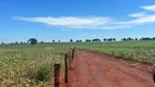 Foto 8 de Fazenda/Sítio com 10 Quartos à venda, 175m² em Setor Central, Gouvelândia