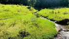 Foto 22 de Lote/Terreno à venda, 197780m² em Betânia, Angelina