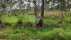 Foto 4 de Lote/Terreno à venda, 28000m² em Serra da Cantareira, Mairiporã