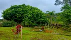 Foto 17 de Fazenda/Sítio com 3 Quartos à venda, 5565m² em Centro, Juquitiba