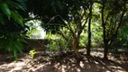 Foto 11 de Fazenda/Sítio à venda, 1m² em Jardim Bounganville, Araraquara