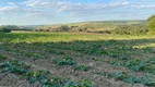 Foto 2 de Fazenda/Sítio à venda, 193600m² em Zona Rural, Elias Fausto