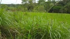 Foto 11 de Fazenda/Sítio à venda, 18627m² em Maracanã, Jarinu