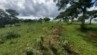 Foto 29 de Fazenda/Sítio com 4 Quartos à venda, 40m² em Centro, Prata