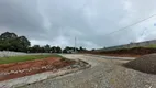 Foto 6 de Lote/Terreno à venda, 200m² em Paloma, Colombo