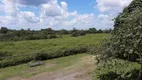 Foto 2 de Fazenda/Sítio com 4 Quartos à venda, 500m² em Area Rural de Manaus, Manaus
