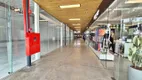 Foto 5 de Ponto Comercial para alugar, 32m² em Coqueiros, Florianópolis